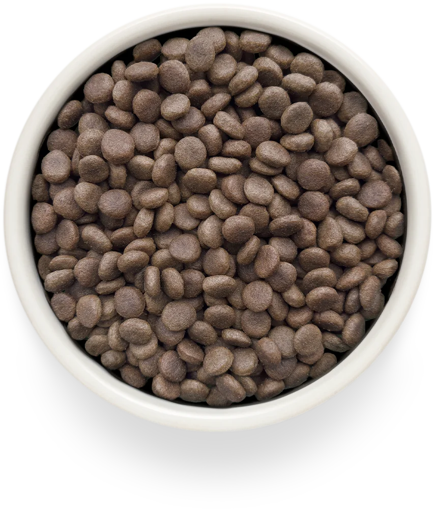 Grandorf Vet Turkey Renal 1kg, view 3