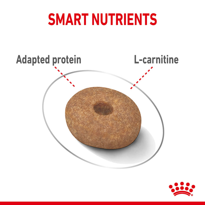 Royal Canin Dog Adult Mini Light 3kg, view 4