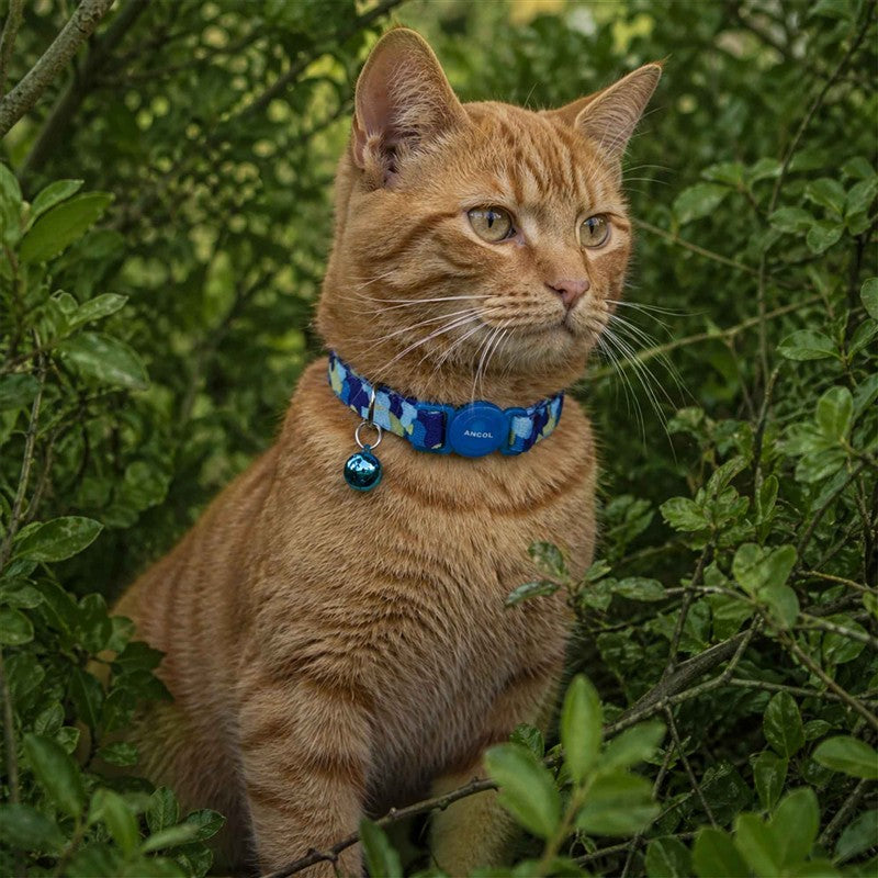 Ancol Camouflage Cat Collar Blue