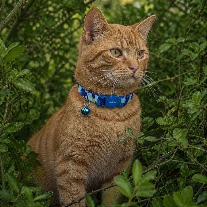 Ancol Camouflage Cat Collar Blue