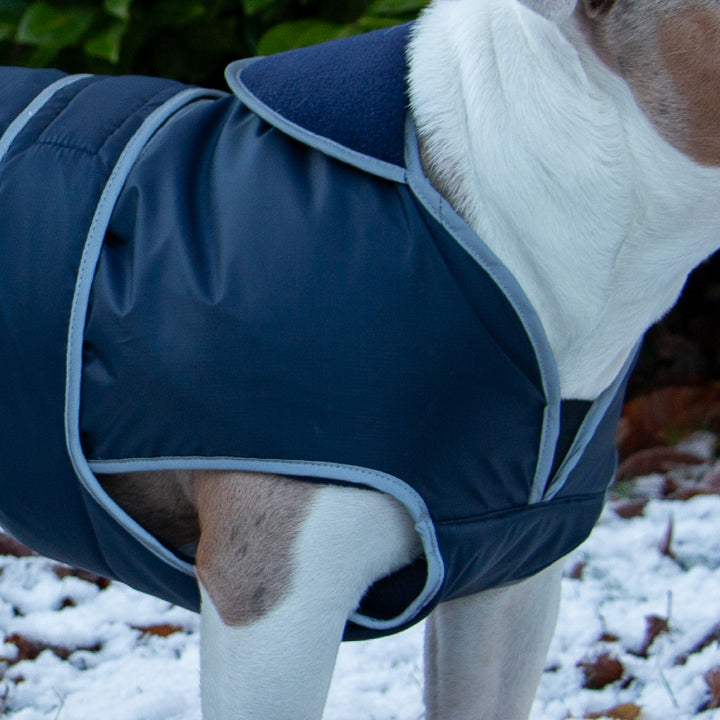 Ancol Stormguard Coat Navy Small, view 5