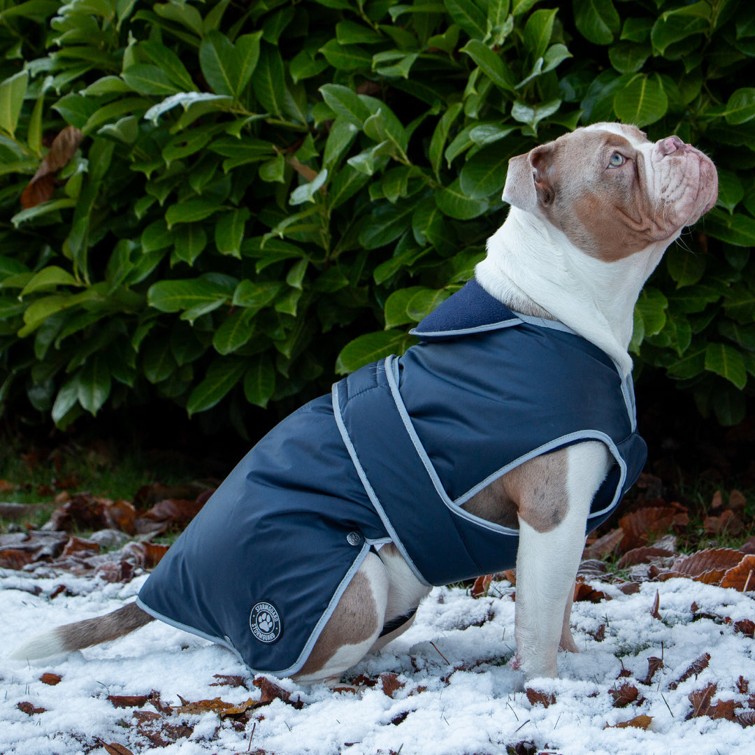Ancol Stormguard Coat Navy Large, view 3
