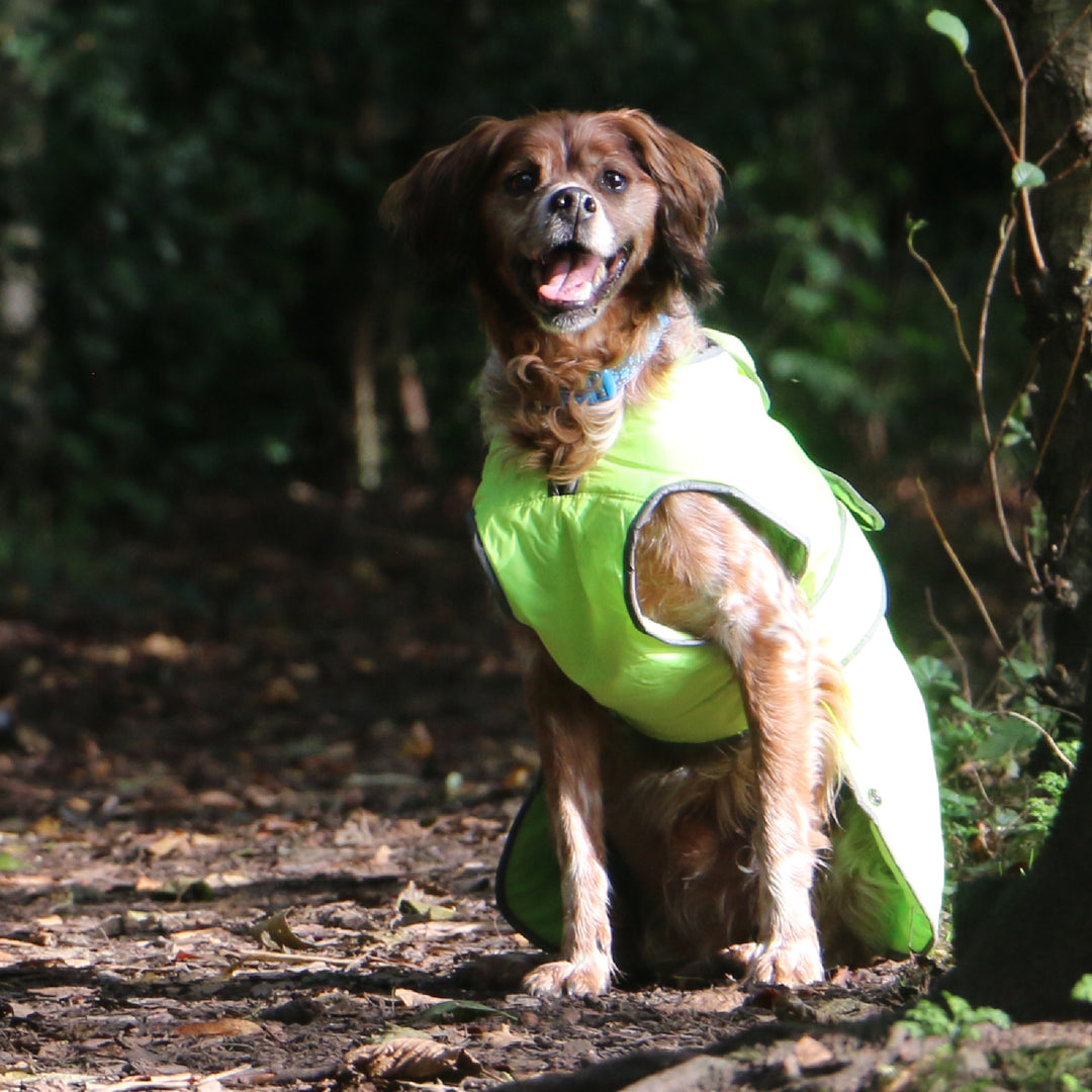 Ancol Stormguard Coat Hi-Vis Medium, view 2