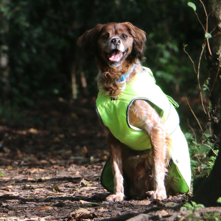Ancol Stormguard Coat Hi-Vis Medium, view 2