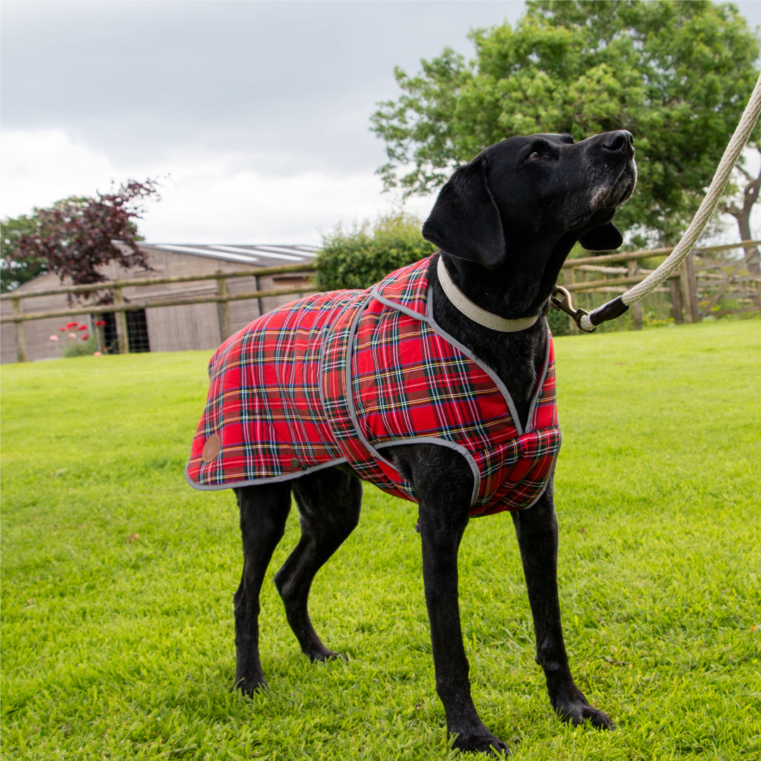 Ancol Heritage Red Tartan Coat Small/Medium, view 2