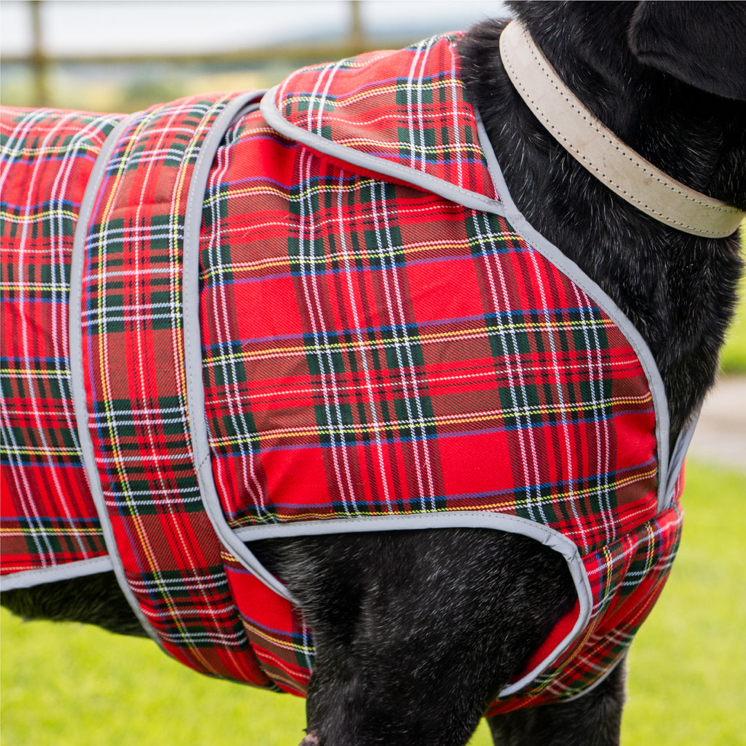 Ancol Heritage Red Tartan Coat Small/Medium, view 4