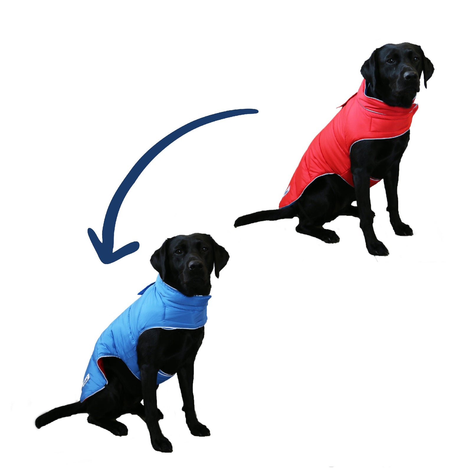 Ancol Viva reversible dog coat in red and blue, medium 40cm