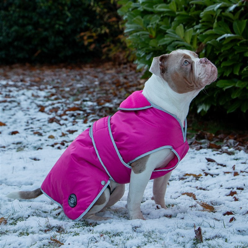 Ancol Stormguard Coat Pink Medium (Dog) 