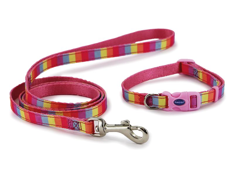 Ancol Rainbow &amp; Pink Collar &amp; Lead Set 20-30CM (Dog) 