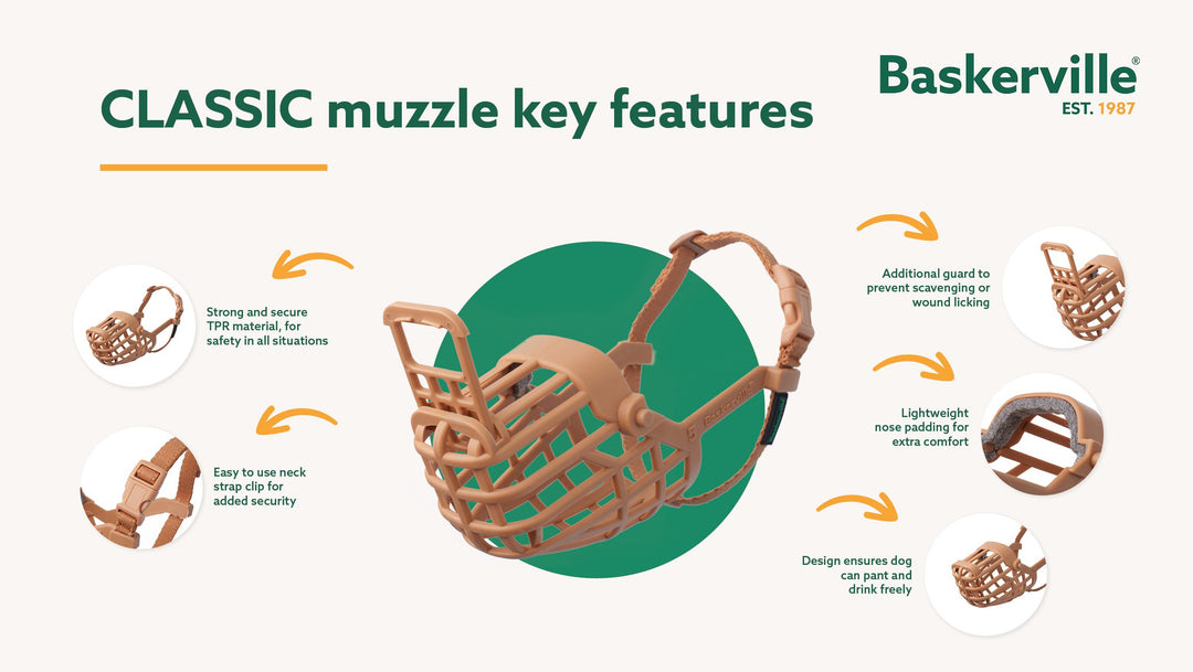 Company of Animals Baskerville Classic Basket Muzzle Size 5, view 2