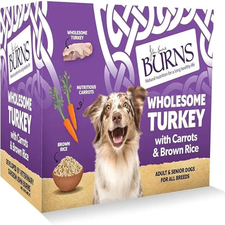 Burns Wet Food Wholesome Turkey 395g, view 4