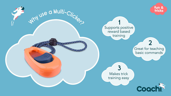 Company of Animals Coachi Multi Clicker Coral, view 4