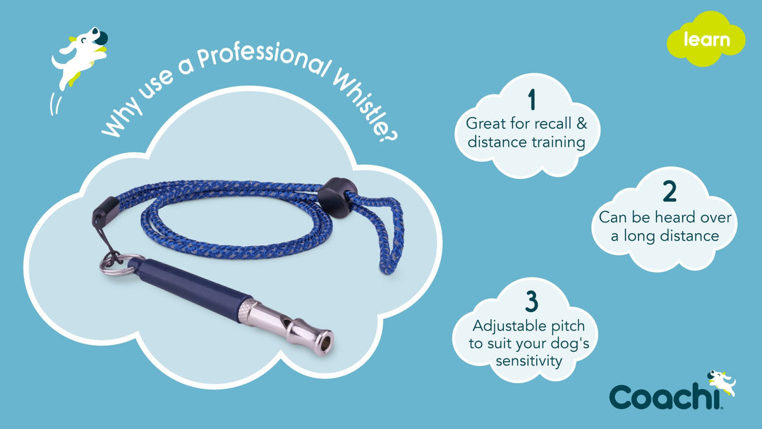 Company of Animals Coachi Professional Whistle Navy, view 3