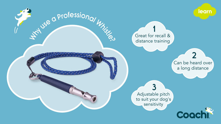 Company of Animals Coachi Professional Whistle Navy, view 3