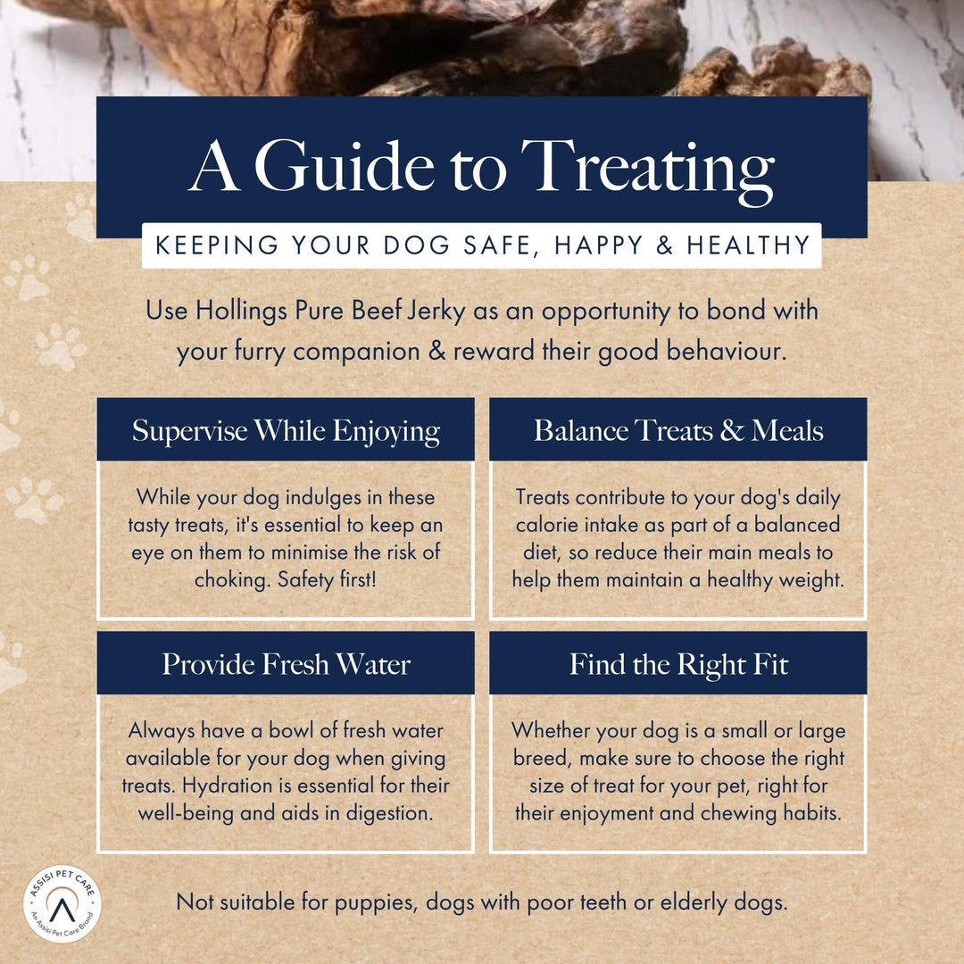 Hollings Pure Beef Jerky 100g Treat, view 5