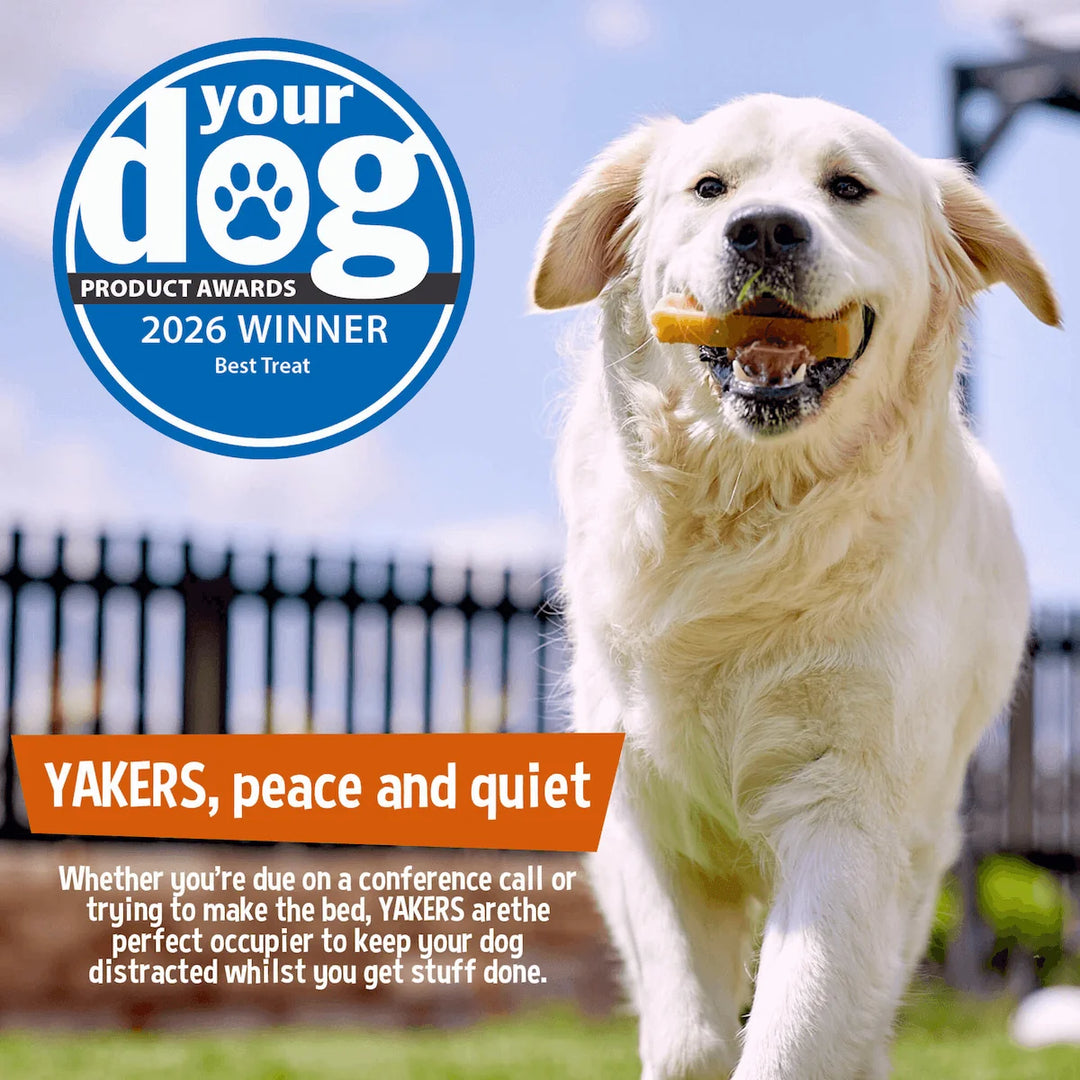 Yakers Dog Chew (XXLarge) Dog Treat, view 3