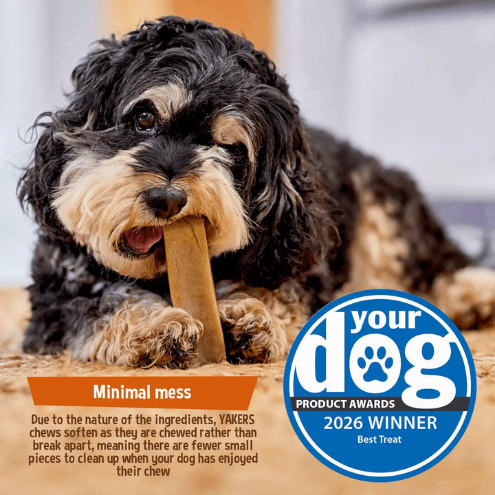 Yakers Peanut Butter (Extra Large) Dog Treat, view 6