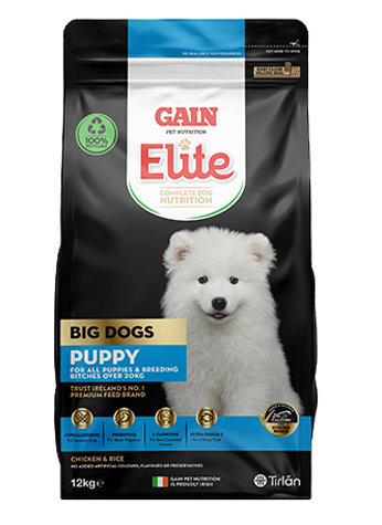 Gain Elite Big Dog Puppy 12kg
