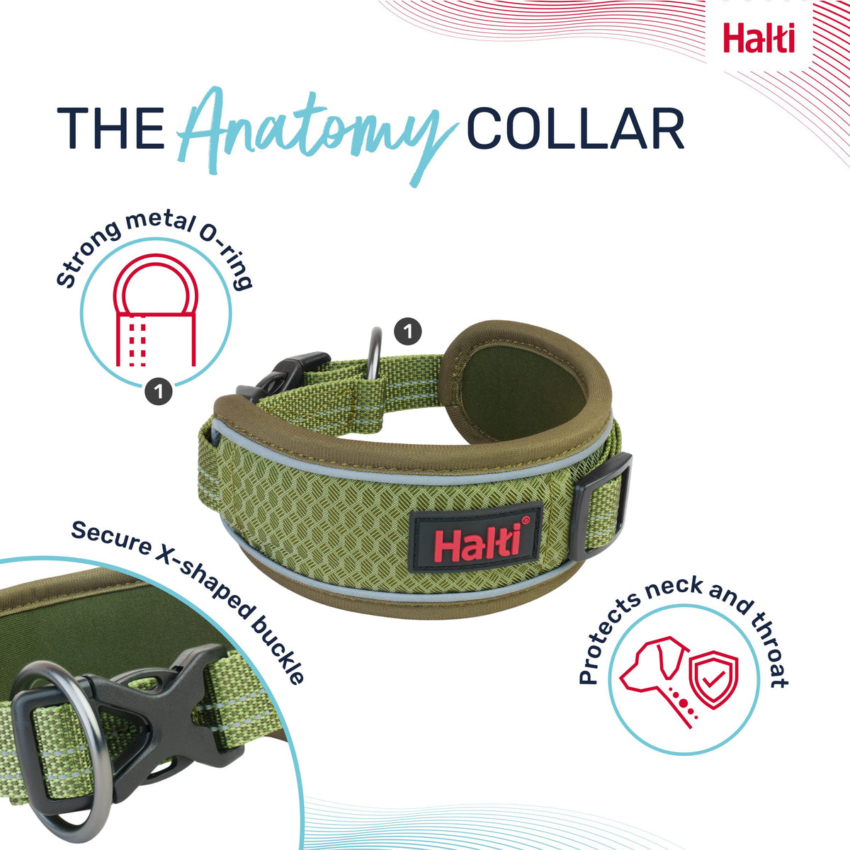 Company of Animals Halti Anatomy Collar Green Large, view 2