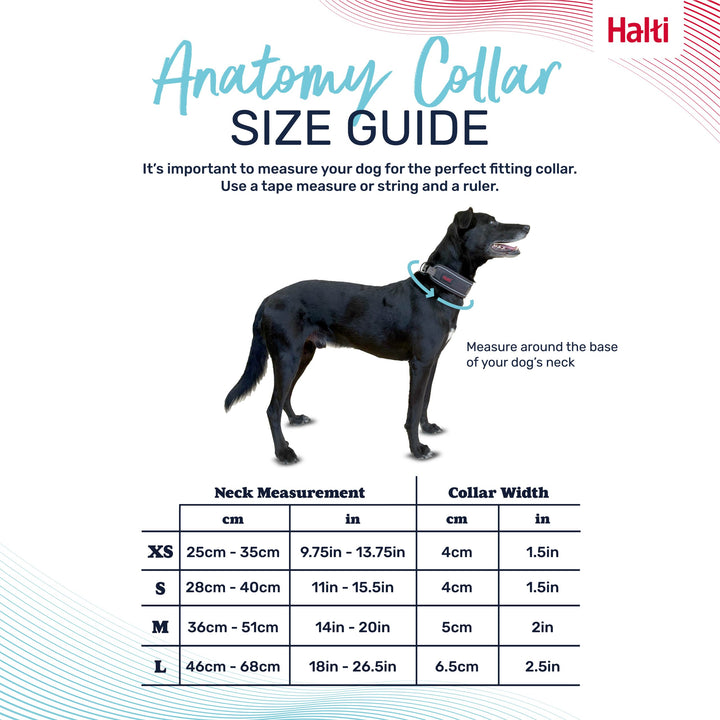 Company of Animals Halti Anatomy Collar Teal Medium, view 3