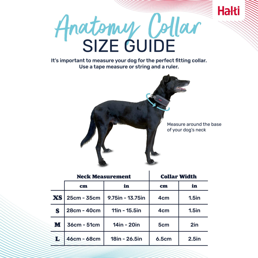 Halti Anatomy Collar Medium Green, view 3