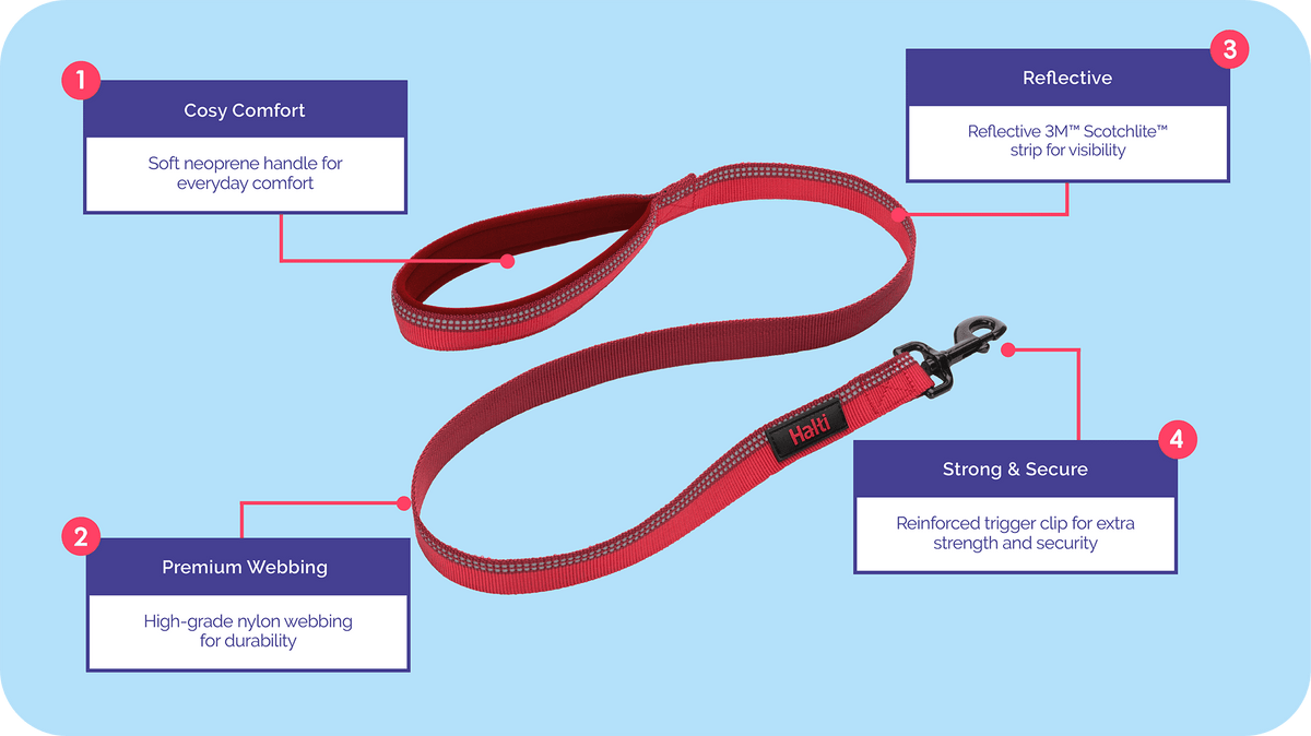 Company of Animals Halti Training Lead Small Red, view 2