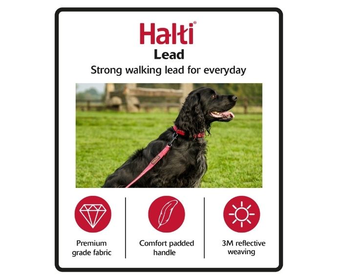 Company of Animals Halti Training Lead Small Black 2M 15mm, view 3