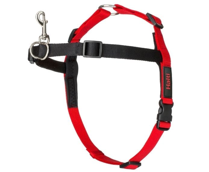 HALTI HARNESS SML
