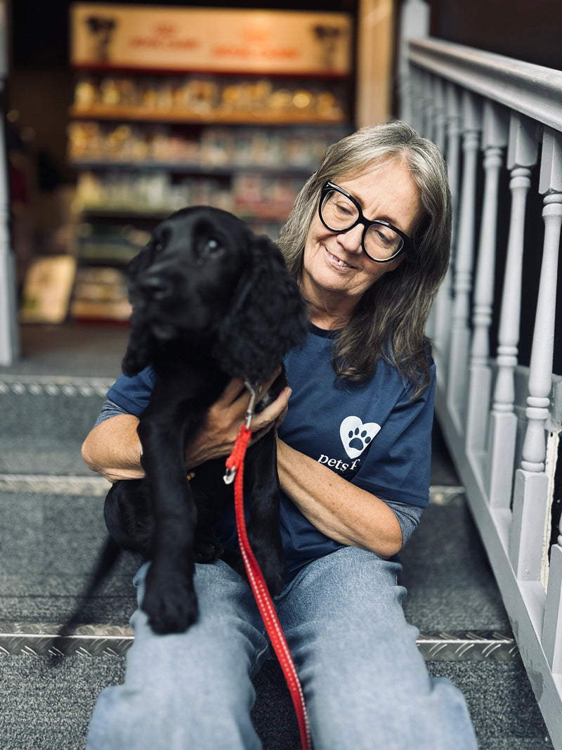 Jackie sitting on the stairs with a black spaniel puppy on a red lead