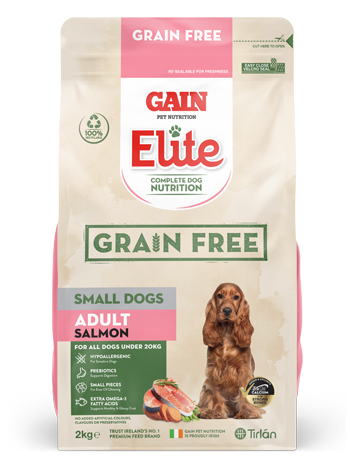 Gain GF Small Dogs Adult Salmon 2kg