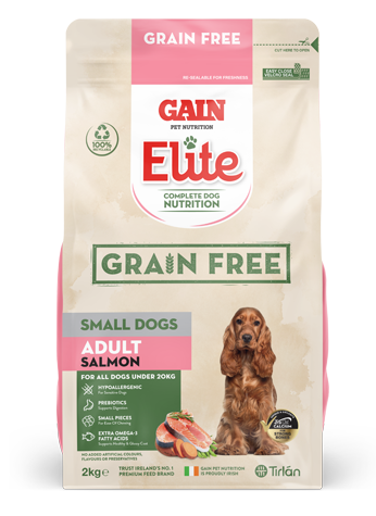 Gain GF Small Dogs Adult Salmon 6kg