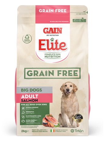 Gain GF Big Dogs Adult Salmon 2kg