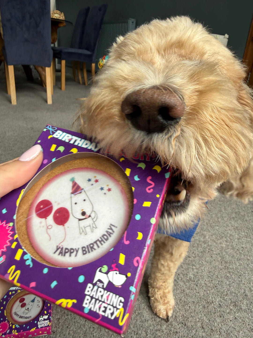 Barking Bakery Birthday Edible Disc (Yappy Birthday Biscuit), view 3