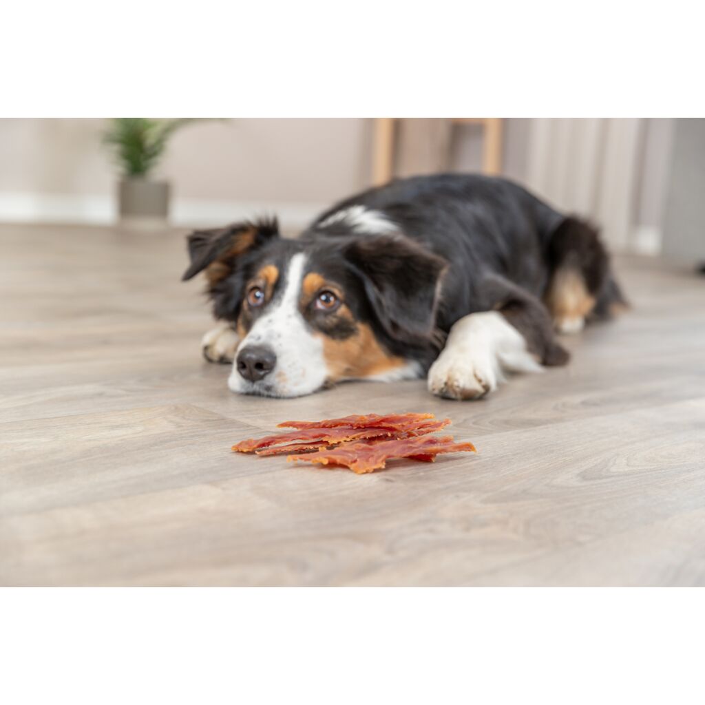 Trixie Premio Duck Strips 100g