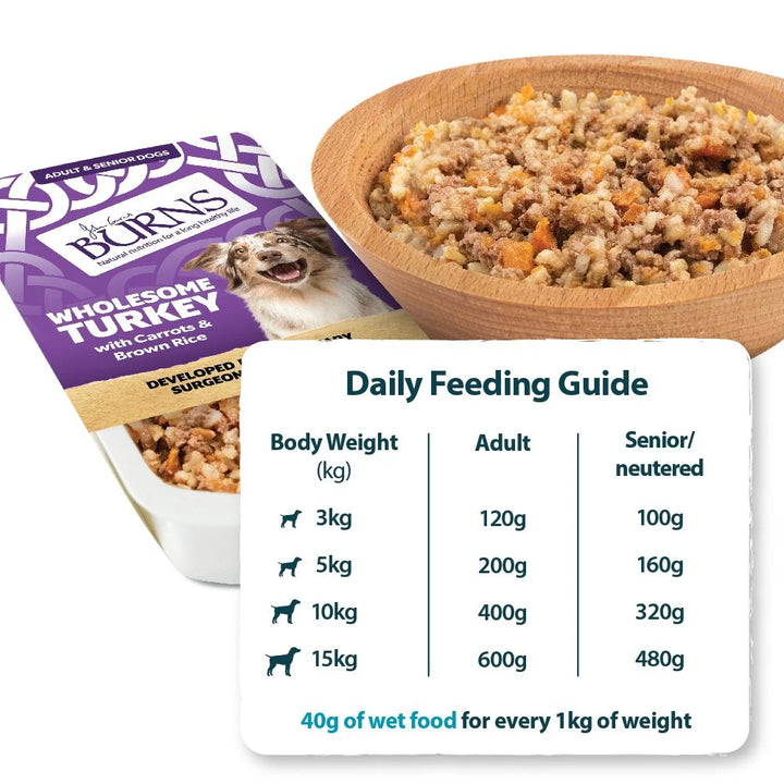 Burns Wet Food Wholesome Turkey 395g, view 2