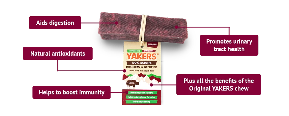 Yakers Cranberry (Medium) Dog Treat, view 3