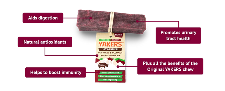 Yakers Cranberry (Medium) Dog Treat, view 3