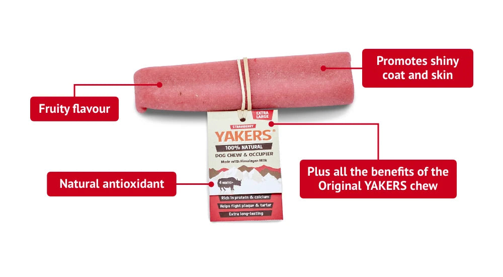 Yakers Strawberry (Medium) Dog Treat, view 4