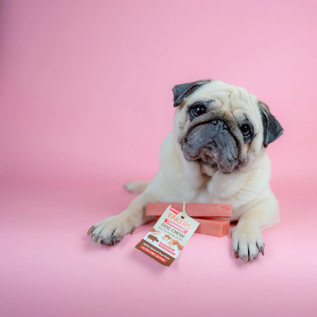 Yakers Strawberry (Extra Large) Dog Treat, view 2