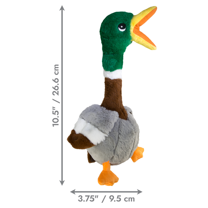 KONG Shakers Honker Duck Small Dog Toy, dimensions