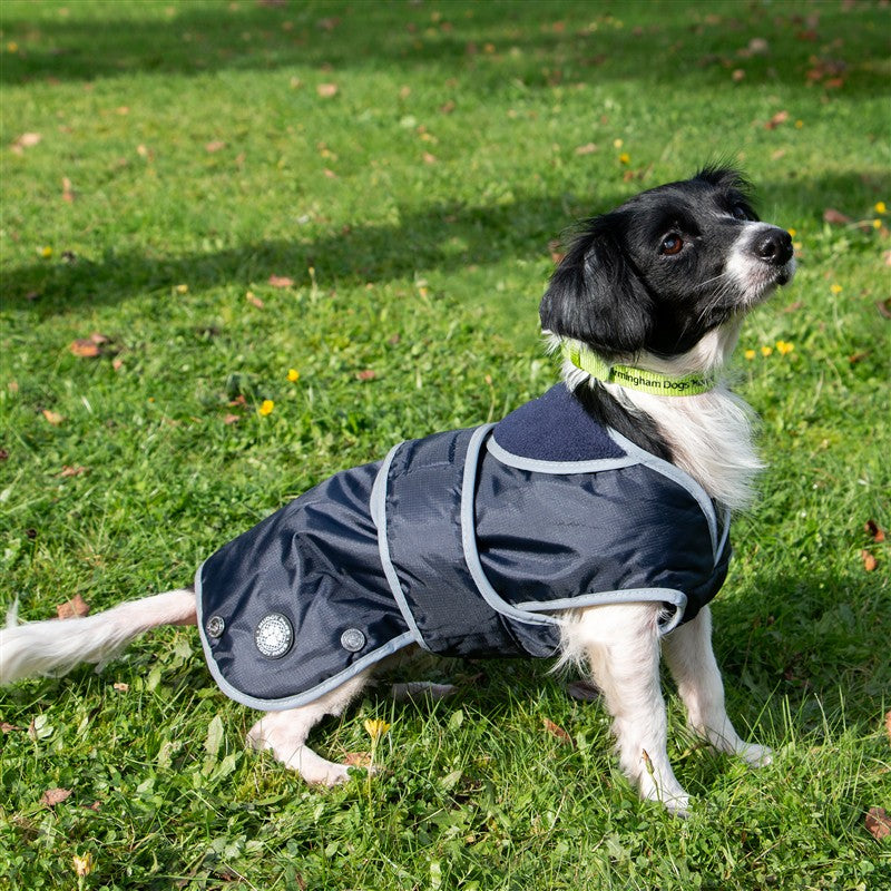 Ancol Stormguard Coat Navy Small (Dog) 