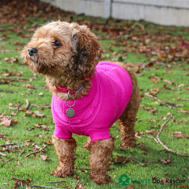 Ancol Pink Cable Knit Jumper Medium (Dog) 