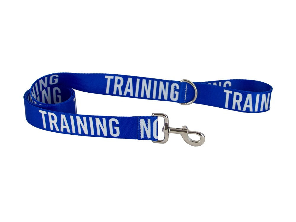 Ancol 40mm Awareness Lead Blue - Training (Dog) 