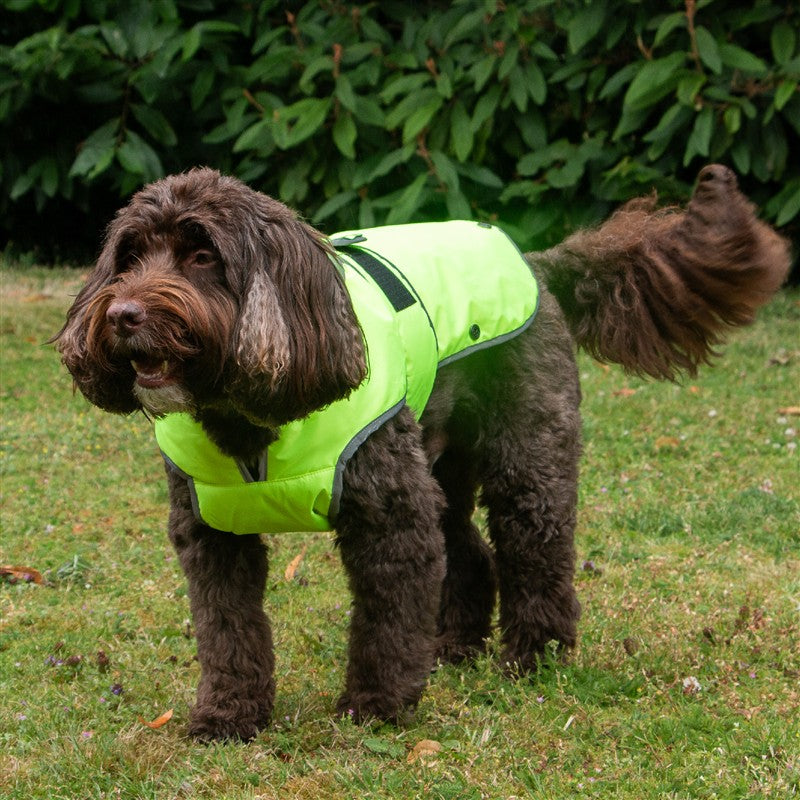 Ancol Stormguard Coat Hi-Vis Medium (Dog) 