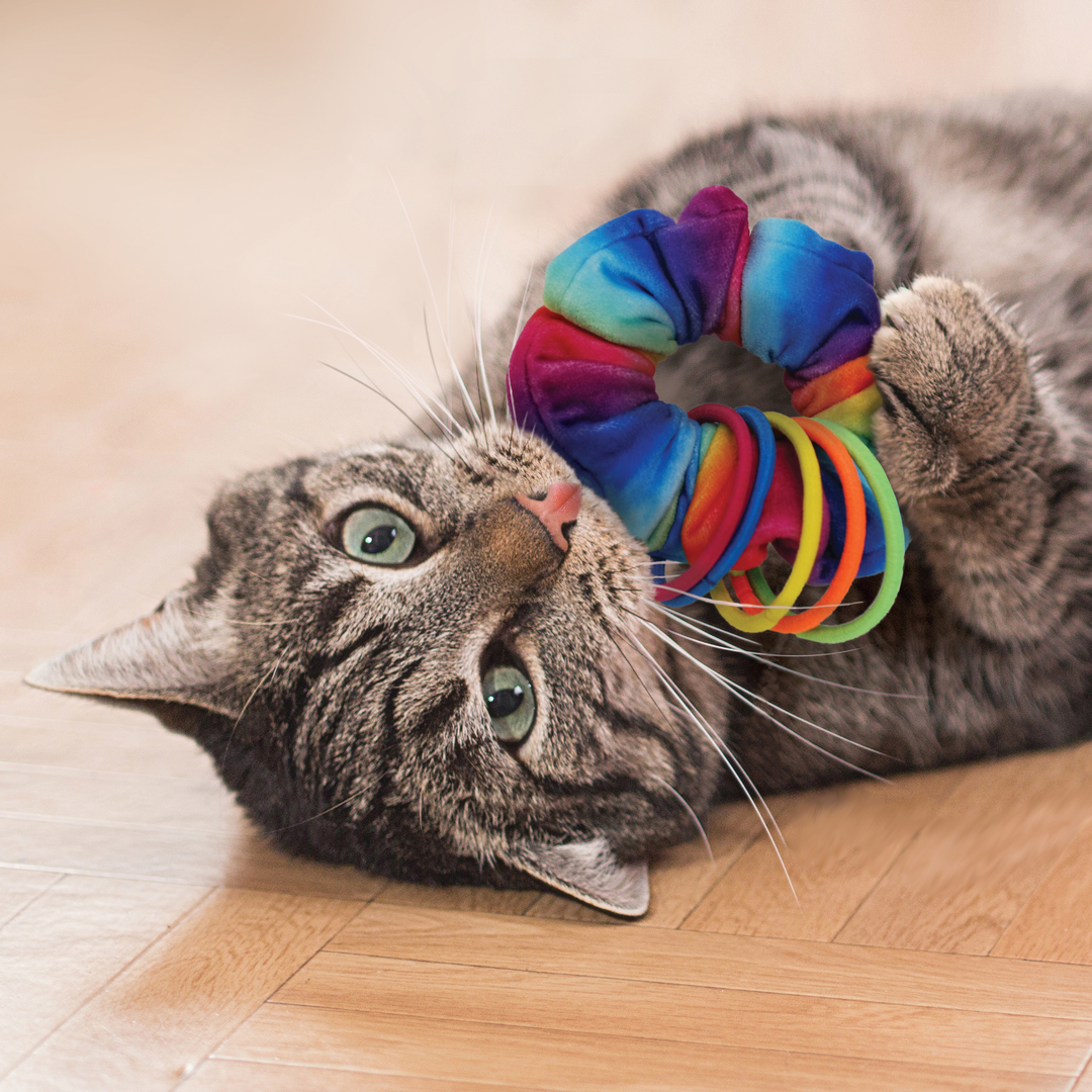 KONG Cat Active Scrunchie, in use