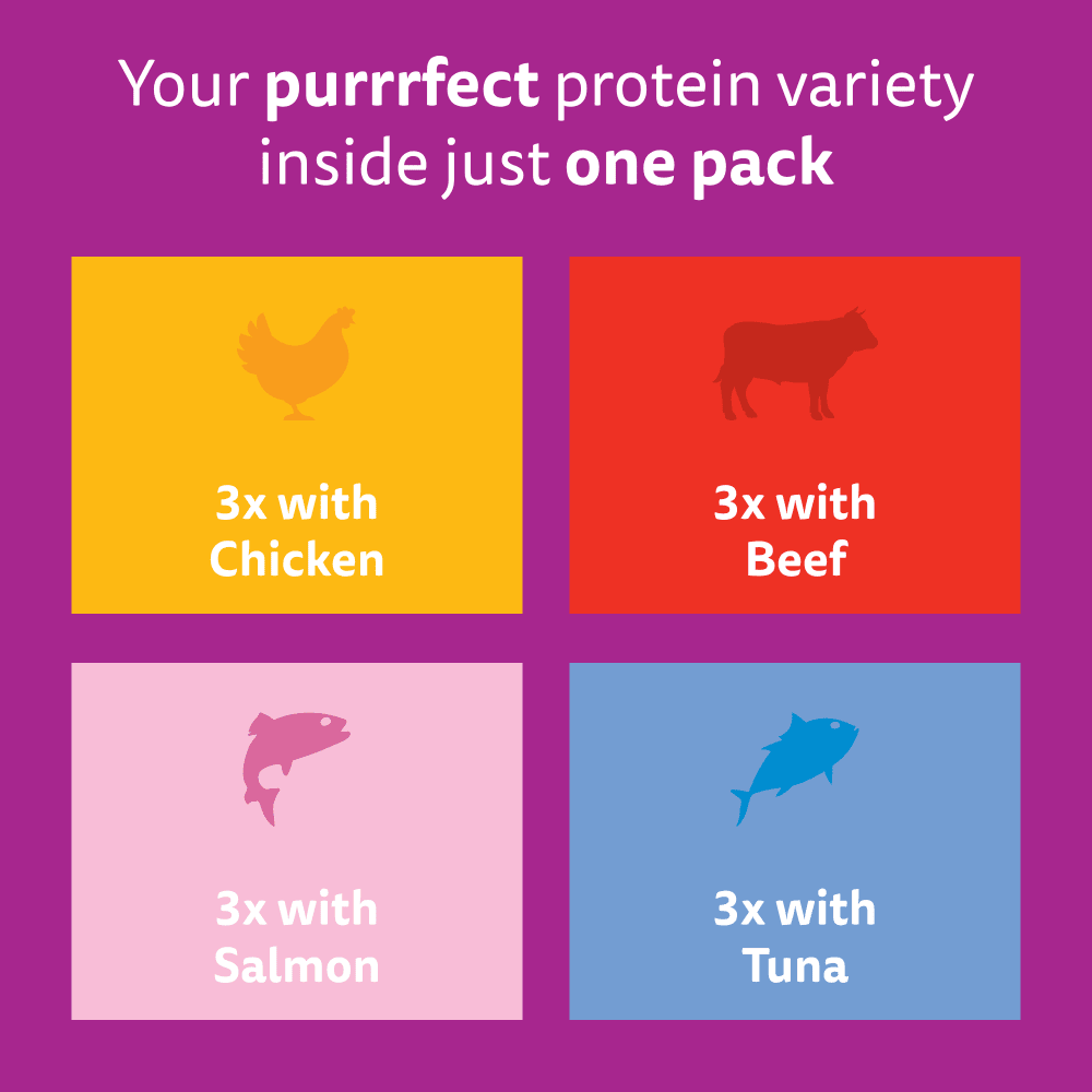 Whiskas 7+ Cat Pouches Mixed Menu in Gravy 12x85g, view 6
