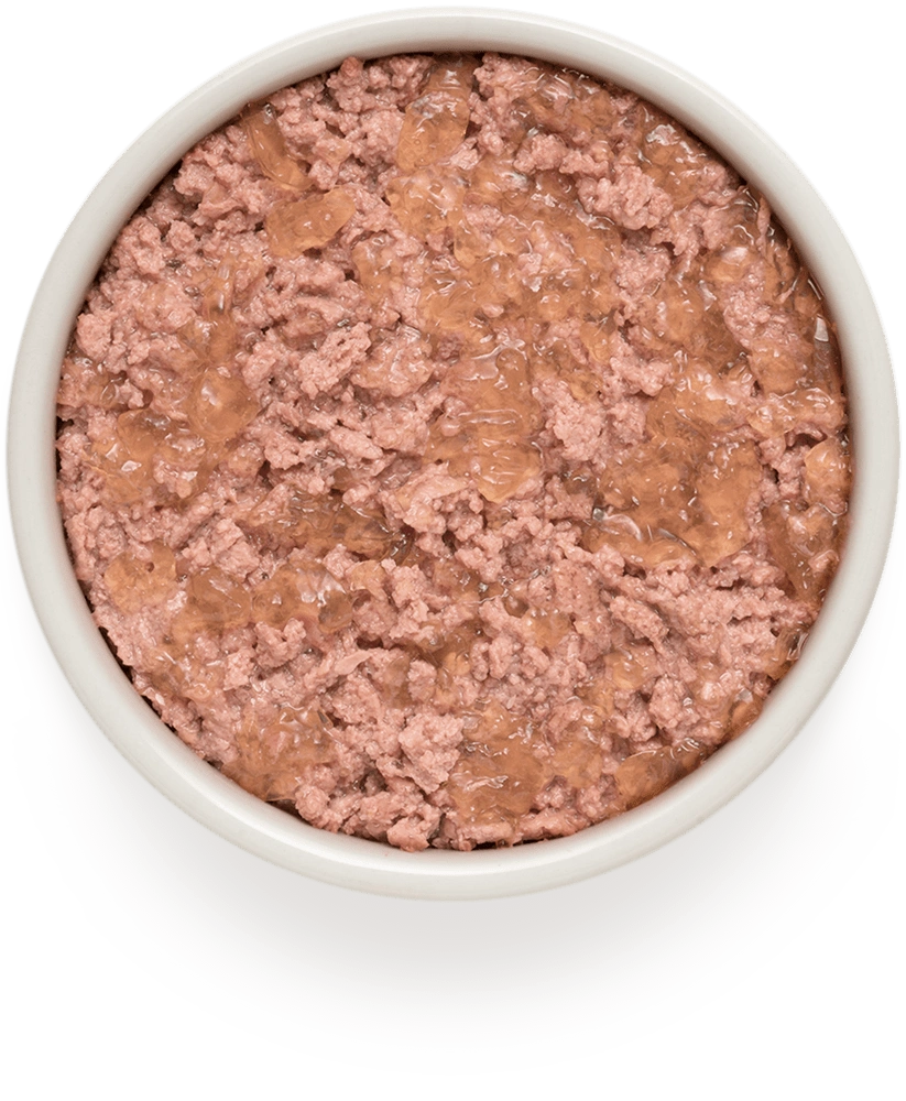 Grandorf Adult Duck and Turkey 400g Tin, view 2