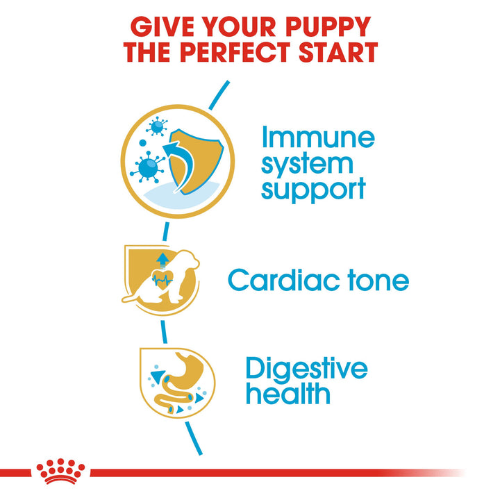 Royal Canin Cavalier King Charles Junior 1.5kg, view 5