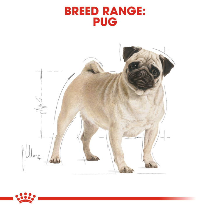 Royal Canin Pug Adult 1.5kg, view 4