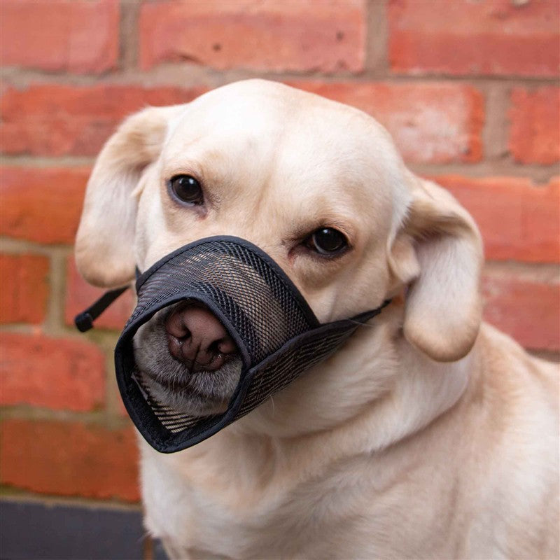 Ancol Nylon Mesh Muzzle Small Size 0 (Dog) 